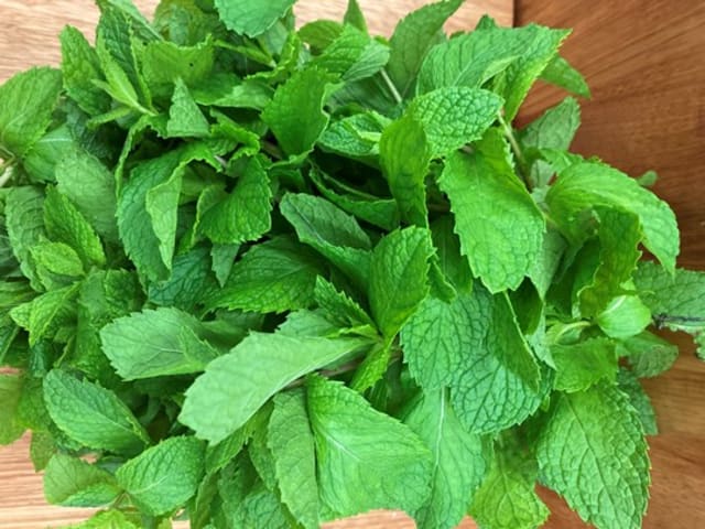 Herbs - Mint Bunch