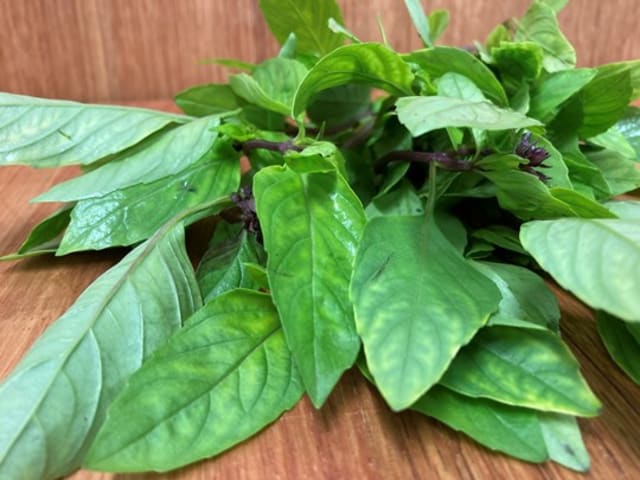 Herbs - Thai Basil Bunch