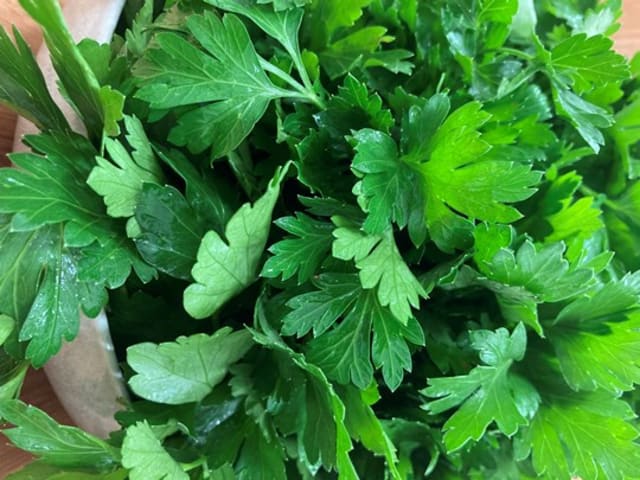 Herbs - Italian Parsley Bunch