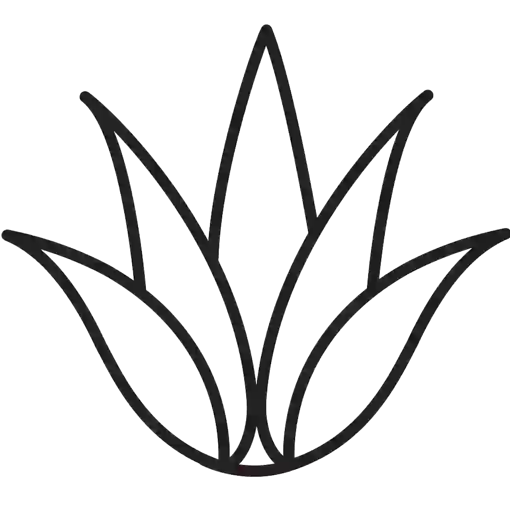 Organic Aloe Vera icon