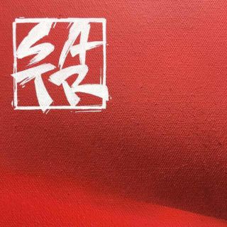 SATR profile picture