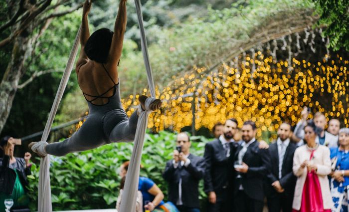  Aerial silk performer 