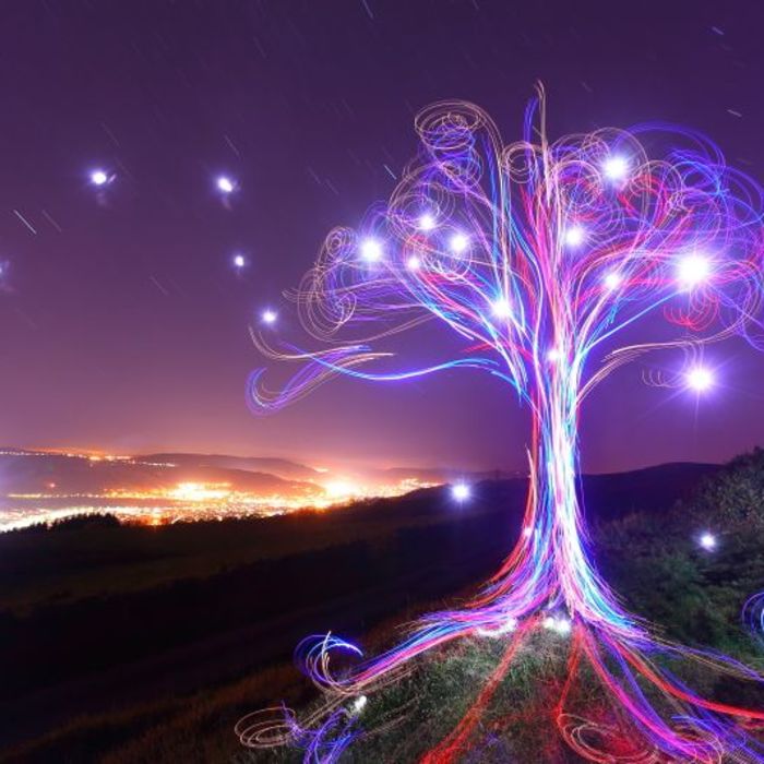 Light Painting by Michael Bosanko