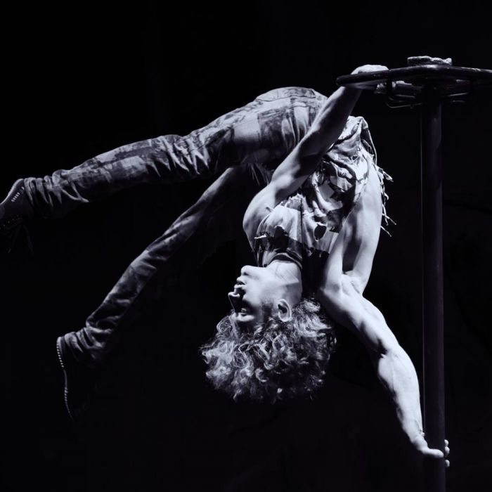 Pole Act (Solo) por "BERLIN INTERNATIONAL" - mixed performin