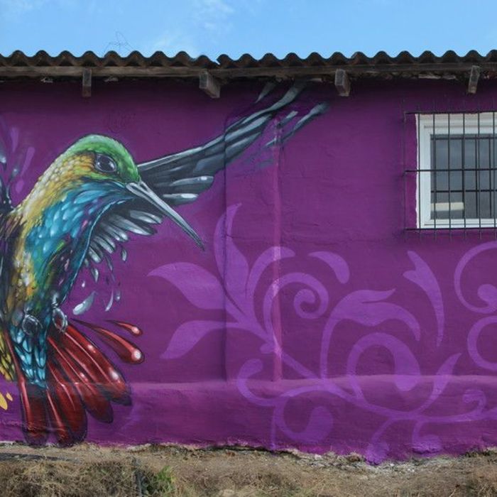 Graffiti Painting and Street Art by B-Free