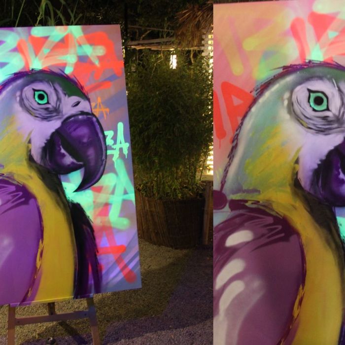 Graffiti Live Painting by B-Free