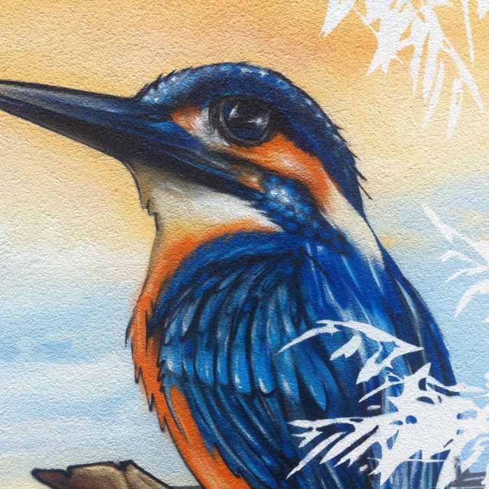 wall paintings von B-Free