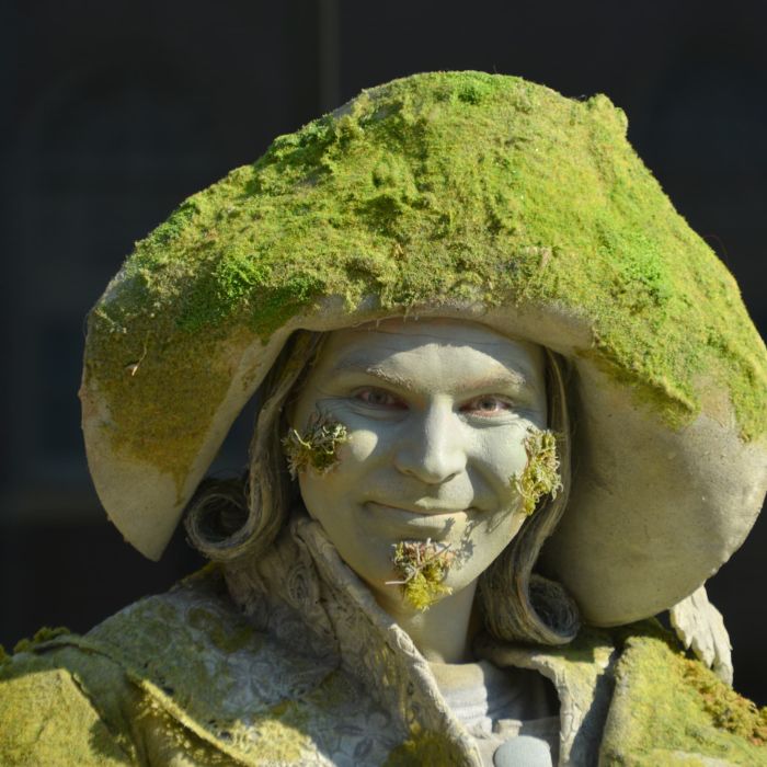 Living statue by Levendstandbeeld