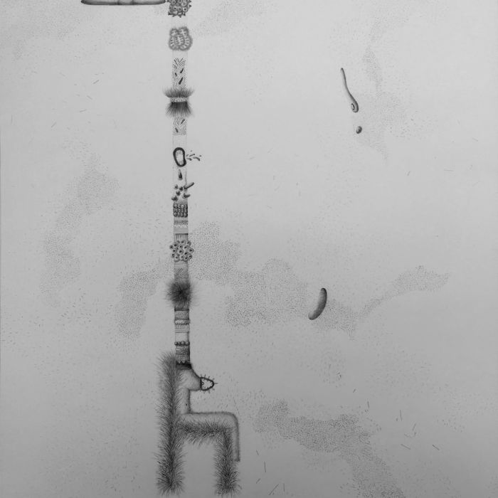 drawings and big size sketches von Carolina Amaya - Camaya