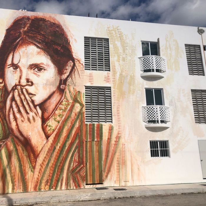 Indoor/Outdoor Murals por erica arndts