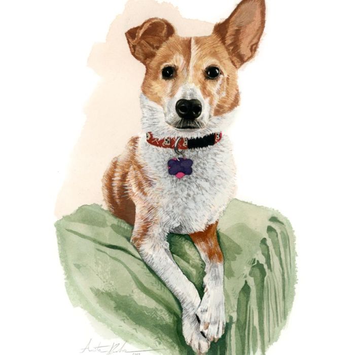 Commissioned Pet Portraits by Anita Rundles Illustration