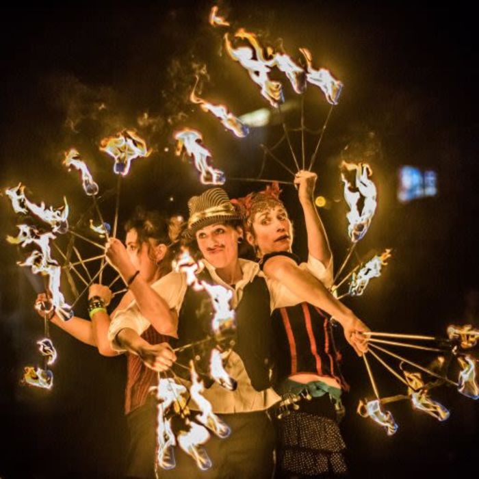 the Pyroladies by Marjorie