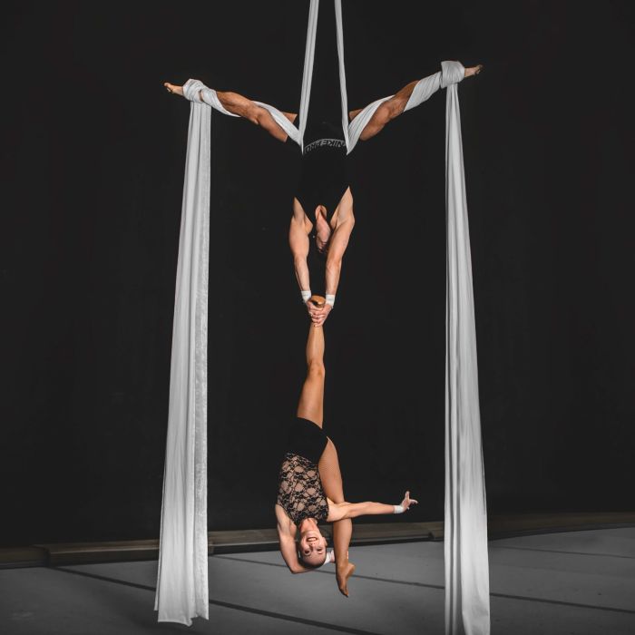 Aerial-Acrobatic Dance Show by PureLove Duo