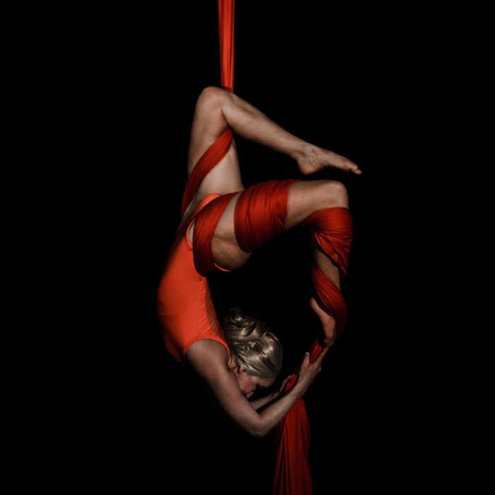 Aerial Silks por Lady Lee