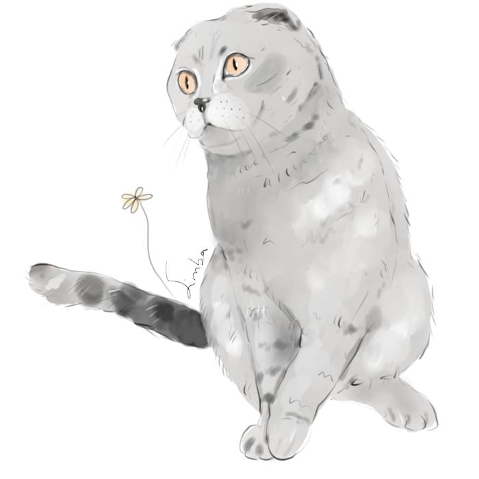 Pet Illustrations por Ana Mirpuri