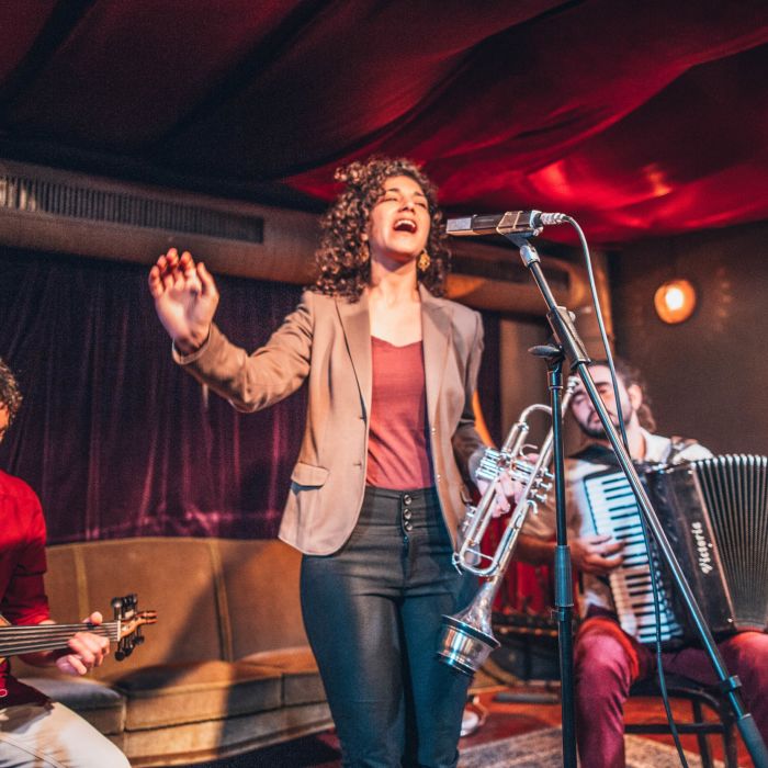 concert, musical journey, performance, dance von Folkadu