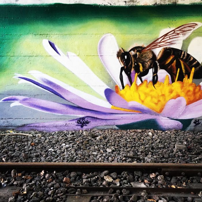 Custom-made decor on indoor and outdoor murals por Elgee