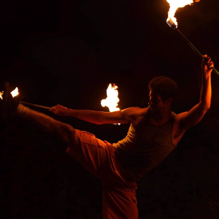 Kung Fu Fire Fighting von Awesome Wolf