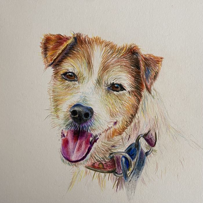 Custom portrait drawing by Monica Carvalho