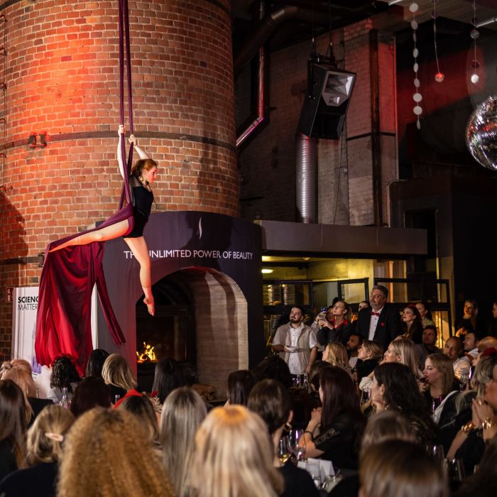Vertikaltuch - Aerial silks showact solo oder duo por Duo Anna&Ida