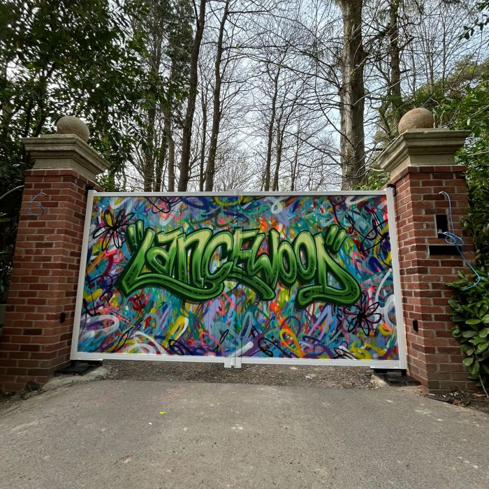 Contemporary Mural Art von Sheena Lennox