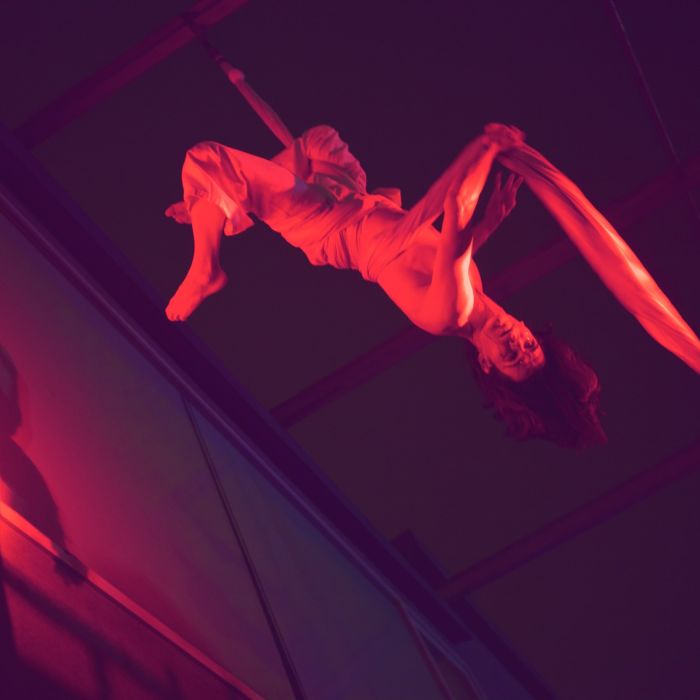 Performance The Lost Tree  von Mr. Milk and Friends