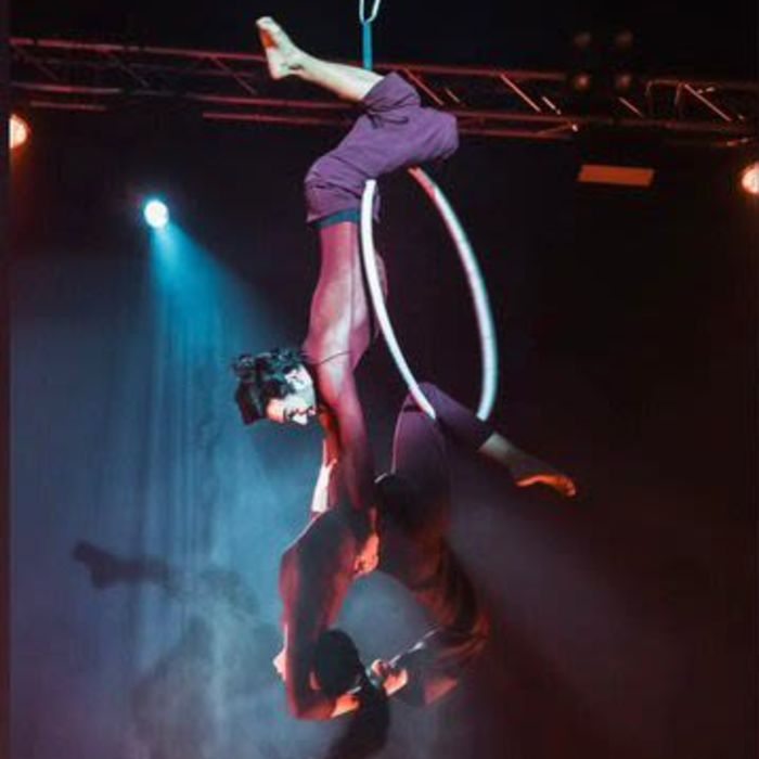 Aerial Hoop Duo by Zoe & Diogo