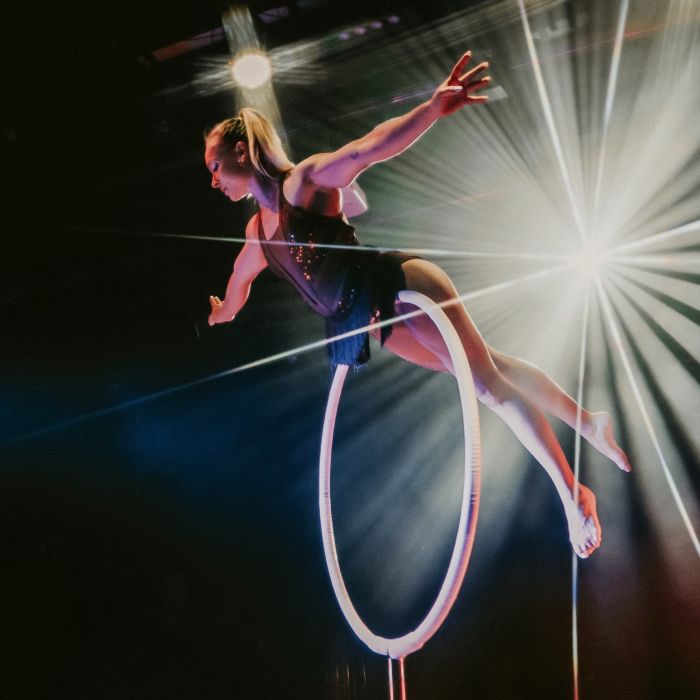 Lyra Pole Artistry  von Arya