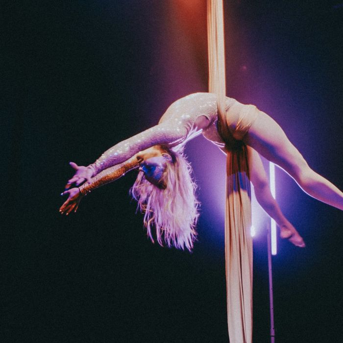 Aerial Silk Performance von Arya
