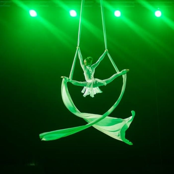 Aerial Silks von Danimisima
