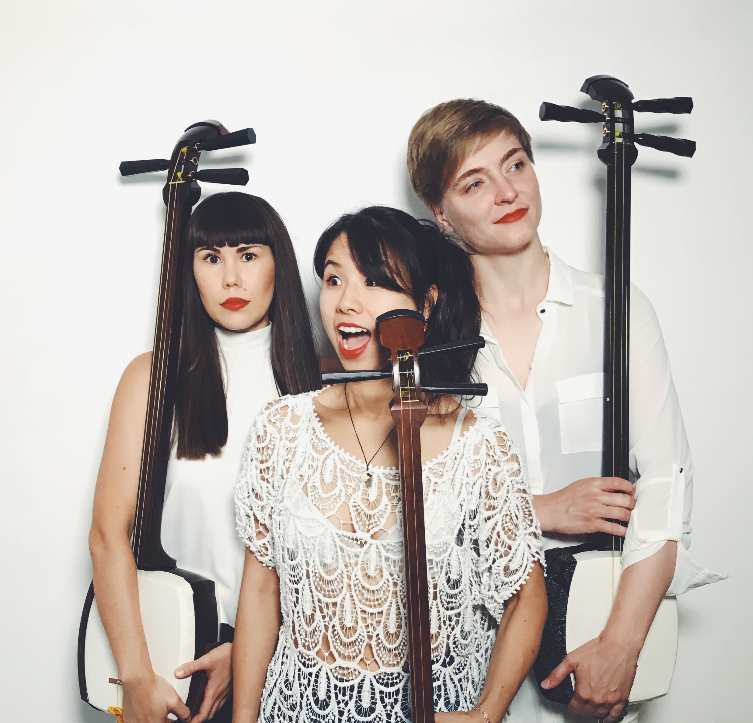 3 stringed japanese instrument