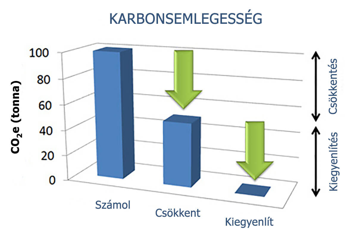 Hogyan működik jól a karbonsemlegesítés? | ZERO CARBON