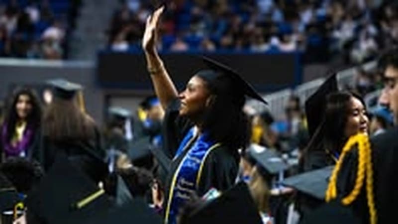Short-Term PhD Options in UAE: Complete Your Doctorate Faster