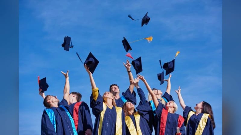 Top Careers After an MSc in Accounting & Finance