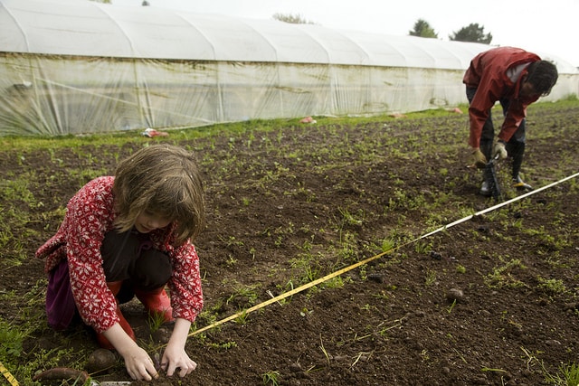 The future of sustainable and organic agriculture