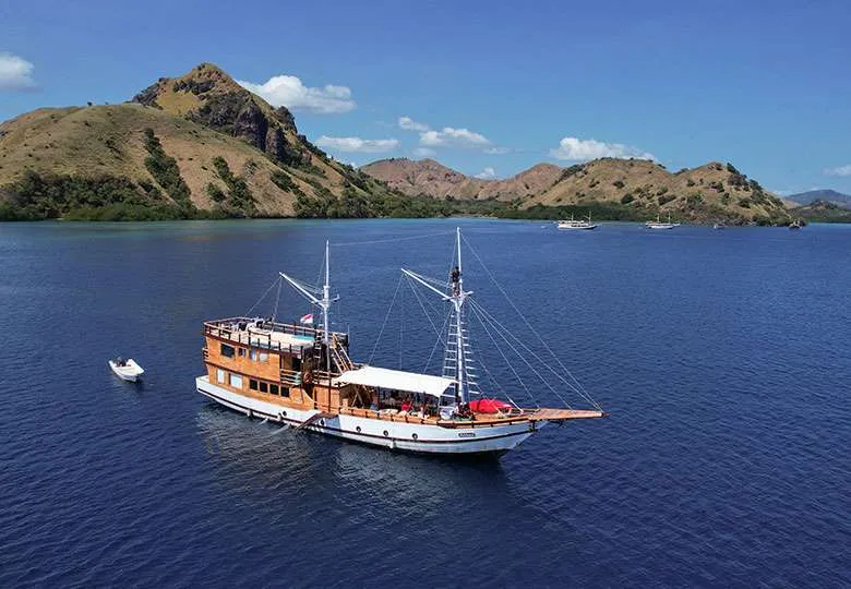 Discover the Magic: Komodo Island Tour Packages from Labuan Bajo