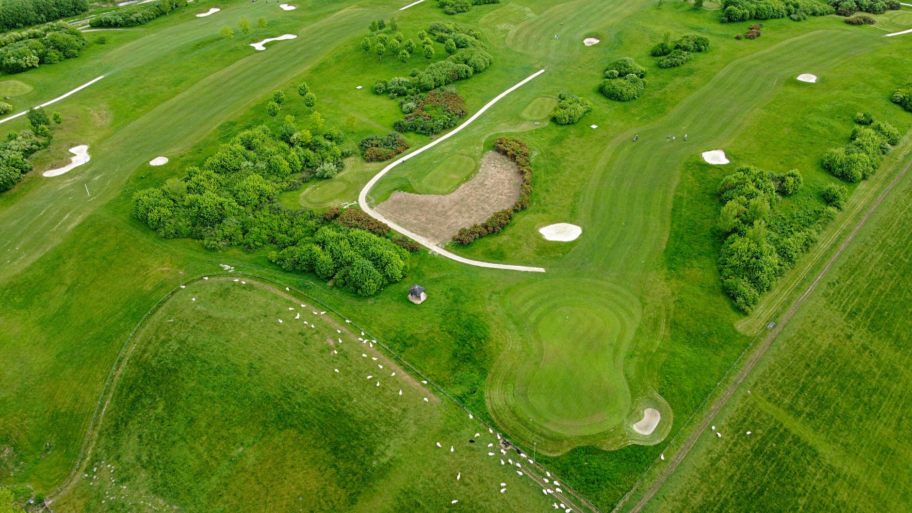 Pastor Tom Randall and the Pandemic Golf