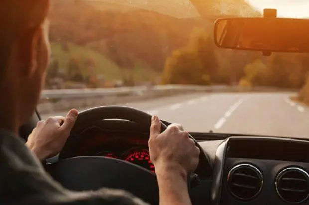 Importance of Regular Florida Driver’s License Verification