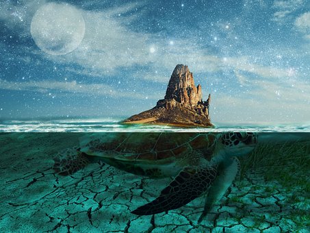 Where is Turtle Island?
