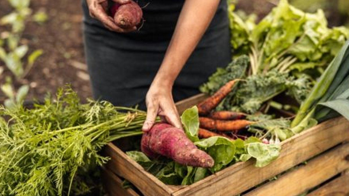 Hunger for Organic Soars Hunger for Organic Soars - organic food demand