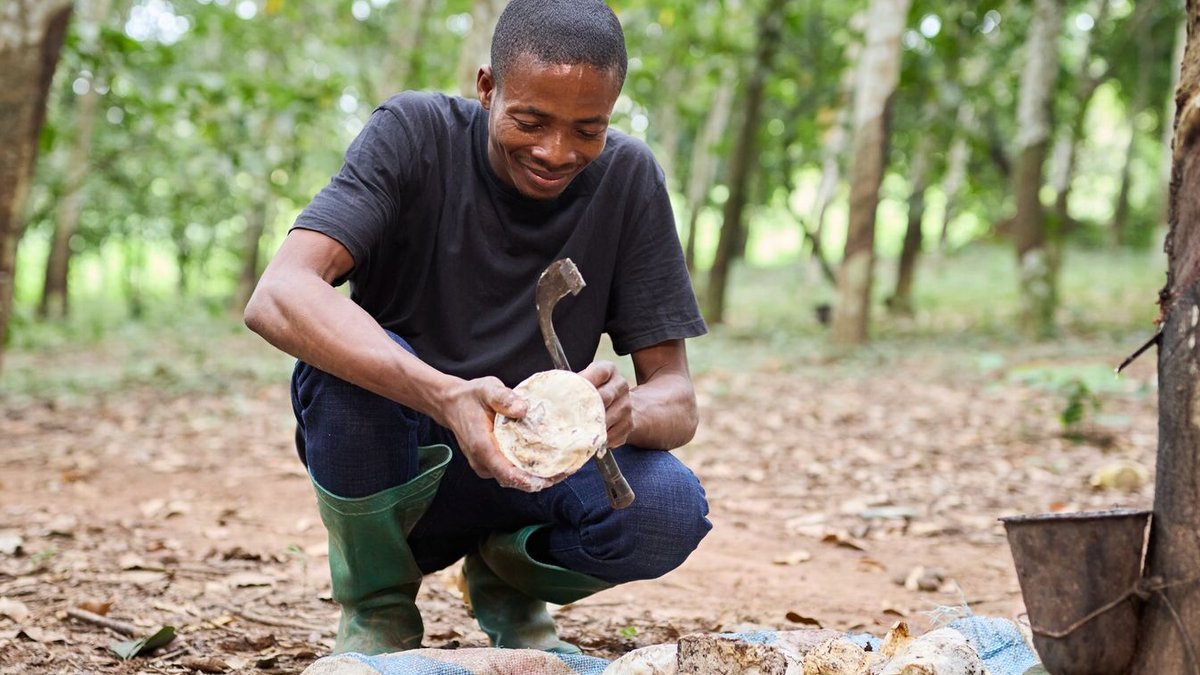 Olam Agri buys Asia Africa Rubber Côte d'Ivoire - olam agri