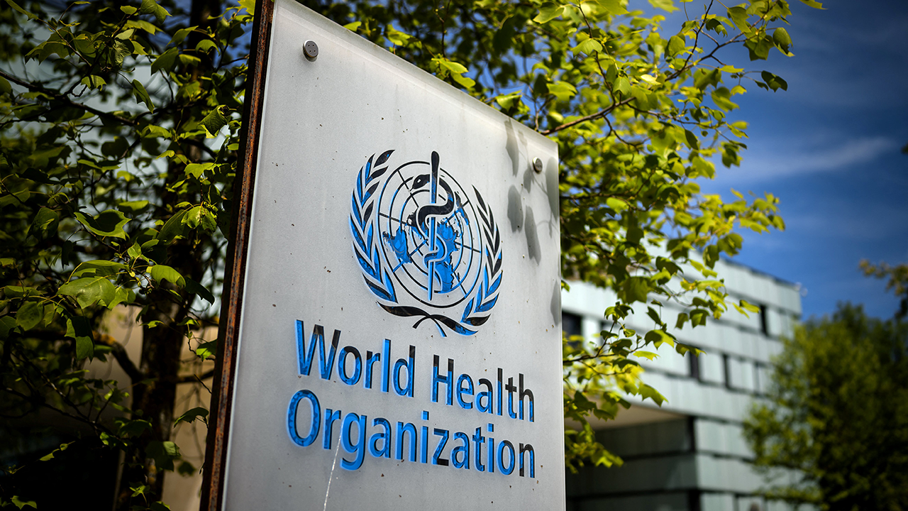 WHO Issues Urgent Global Warning: The Steep Rise of Lifestyle Diseases and the Erosion of Lifespan