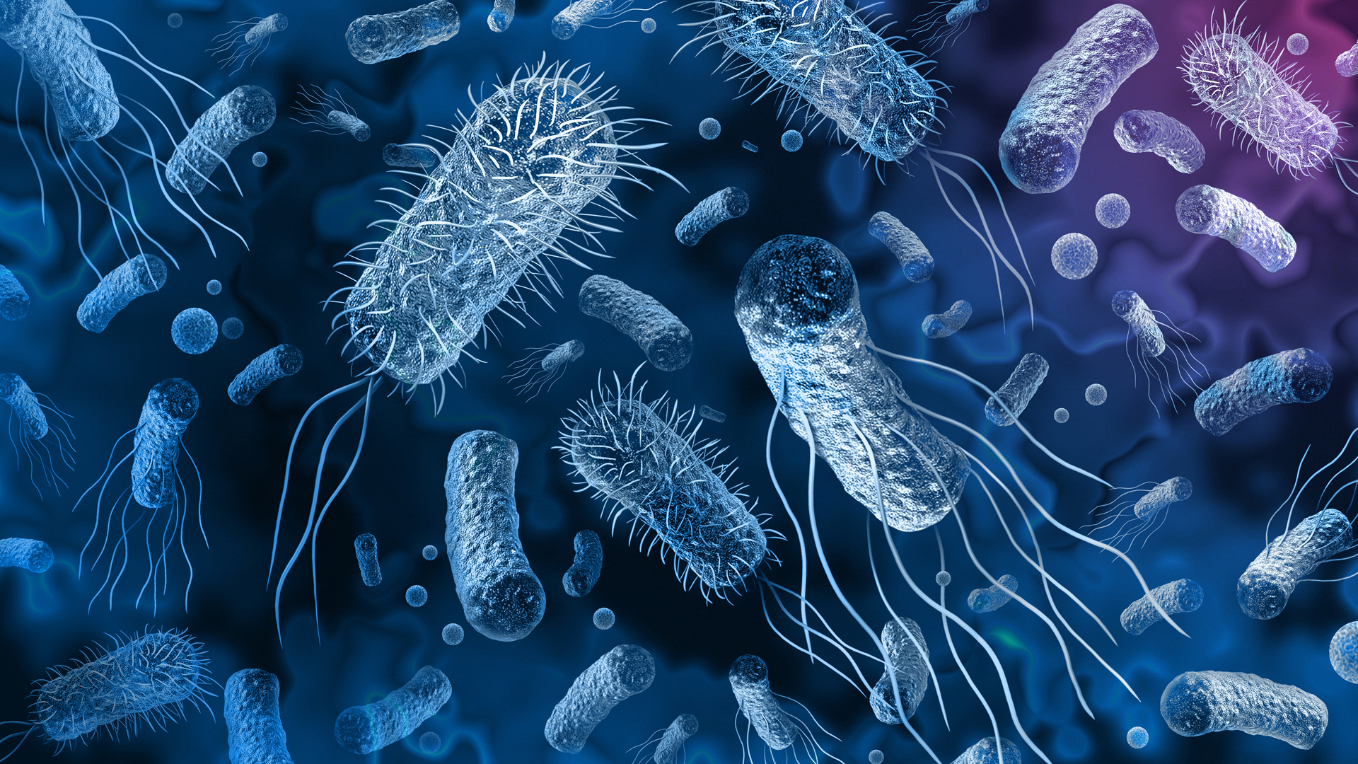WHO Warning: Drug-Resistant Superbugs Are Spreading Faster Than Ever