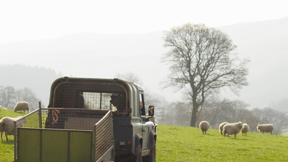 UK Tow Fleet Ages UK Tow Fleet Ages - uk tow fleet age