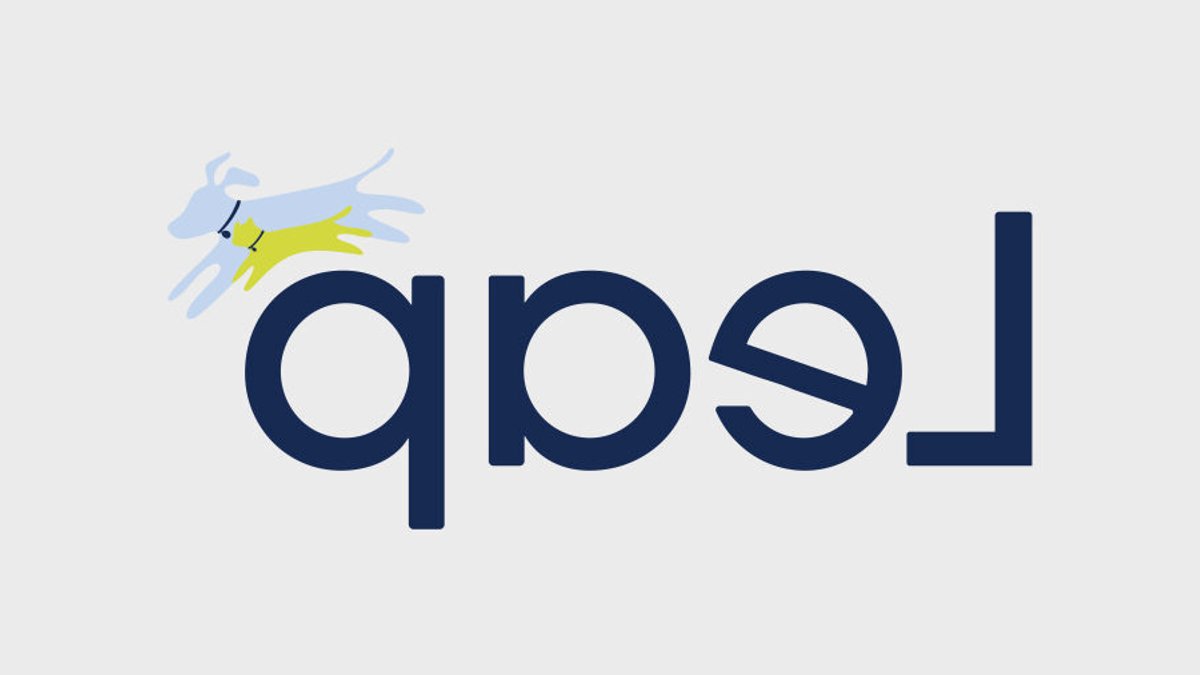 Leap Venture Studio launches tenth pet care cohort Leap Venture Studio launches tenth pet care cohort - pet care accelerator