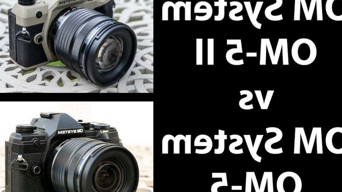 OM-5 Mark II vs OM-5 Comparison - om-5 mark ii comparison