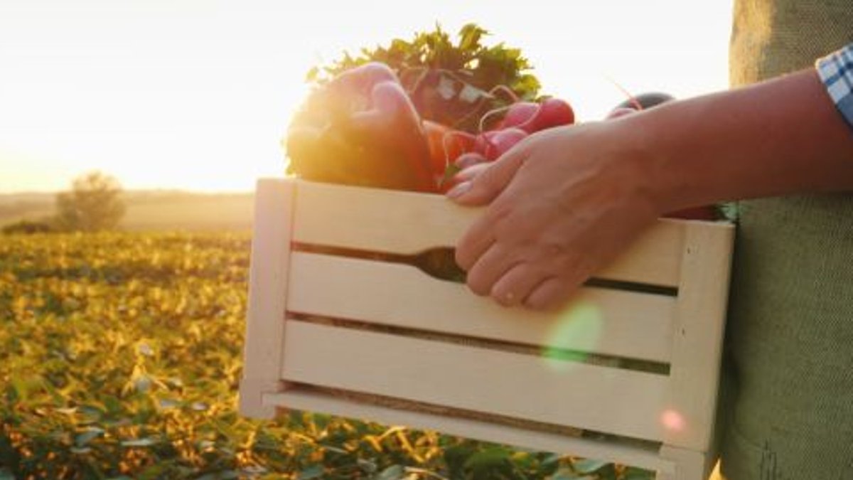 Experts predict the future of sustainable food Experts predict the future of sustainable food - future of sustainable food