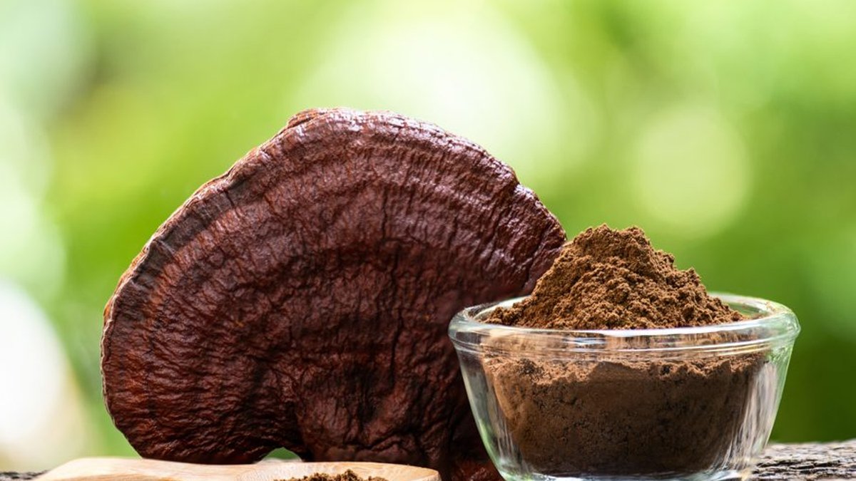 Irish Women Turn to Reishi for Wellness - reishi wellness