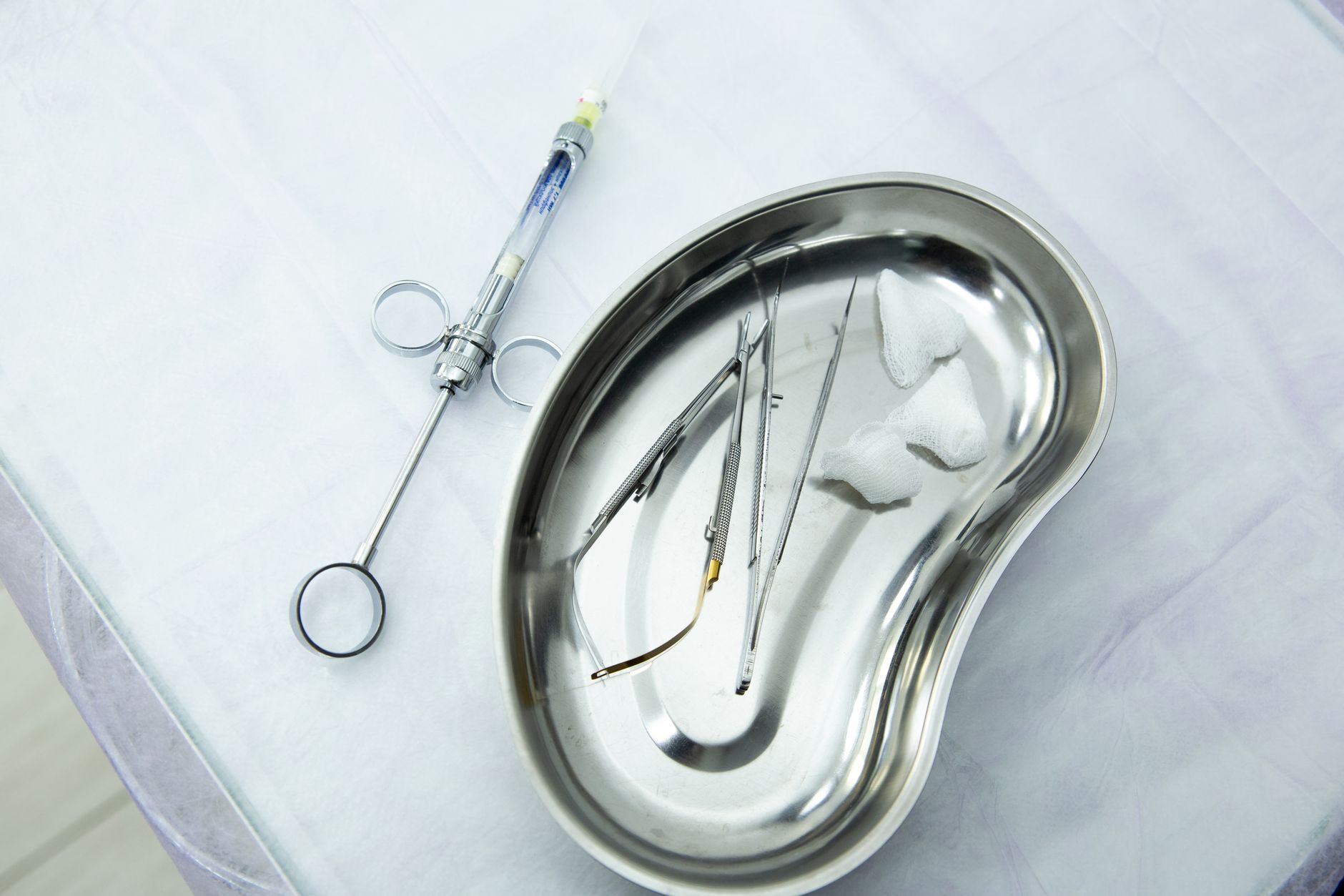 Kidney Xenotransplant Offers Temporary Bridge Until Allotransplantation
