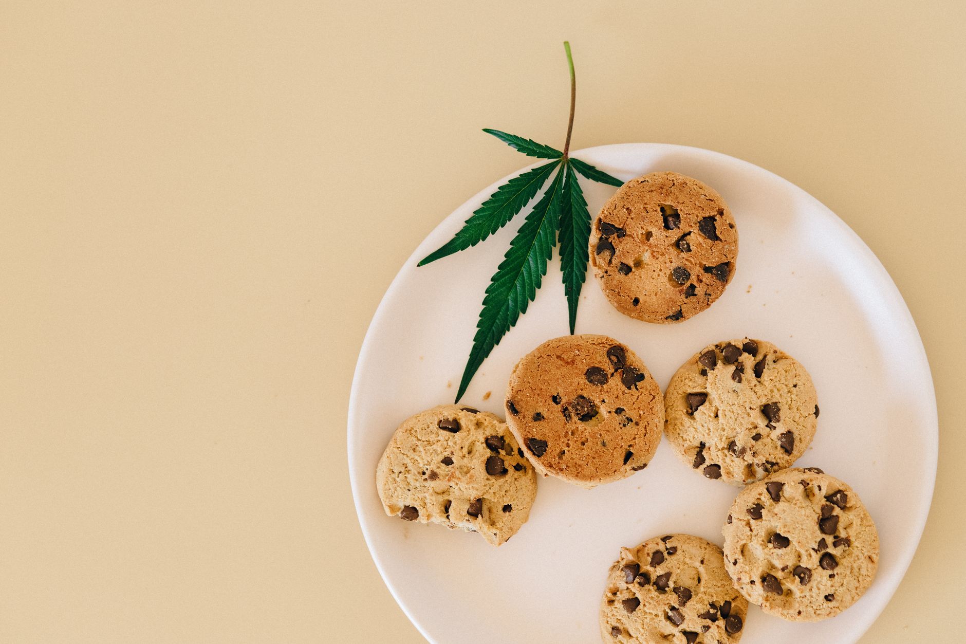 Just How Do CBD Edibles Work